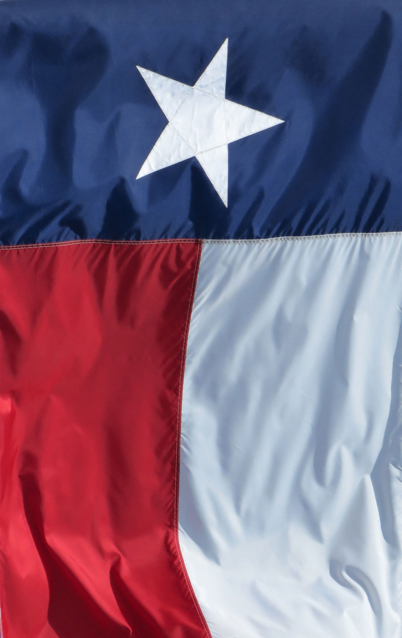 Health care in Texas - the state flag of Texas