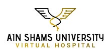 Ain Shams University Ain Shams University